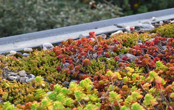 the cost of Walkmills green roof installation